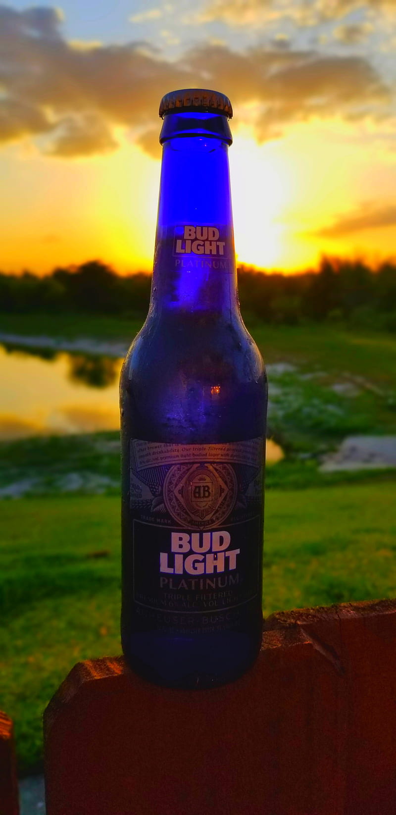 Bud Light, alchohol, beer, blue, bottle, orange, platinum, sun, sunset, HD phone wallpaper