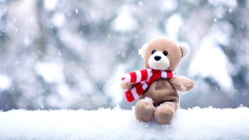 Little Brown Teddy Bear With Red White Muffler In Snow Falling Background Teddy Bear, HD wallpaper