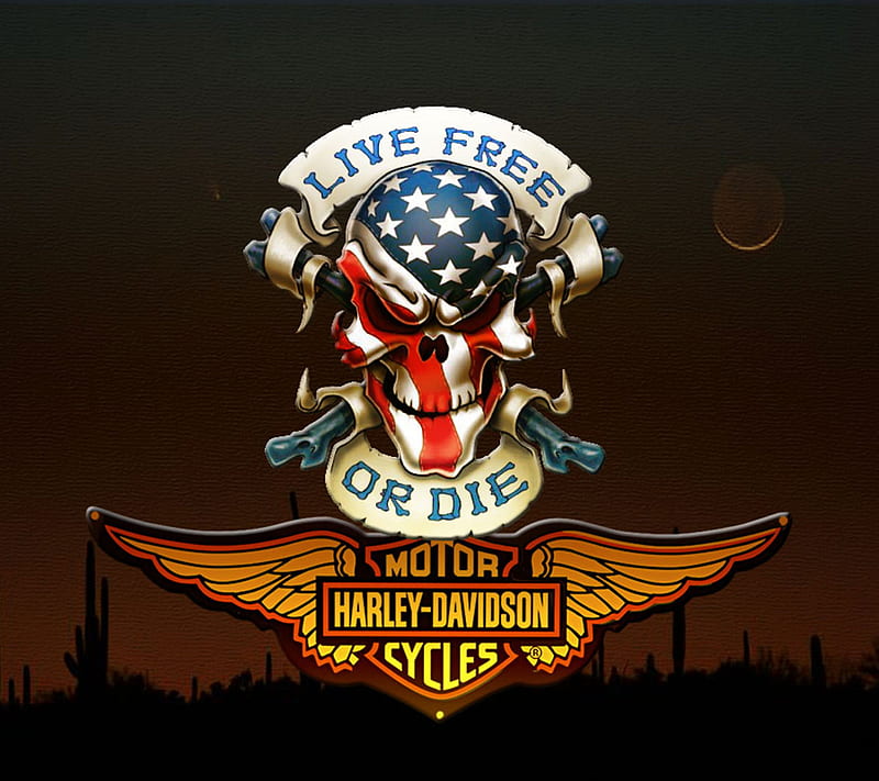 Harley Davidson, saguaro, sticker, HD wallpaper