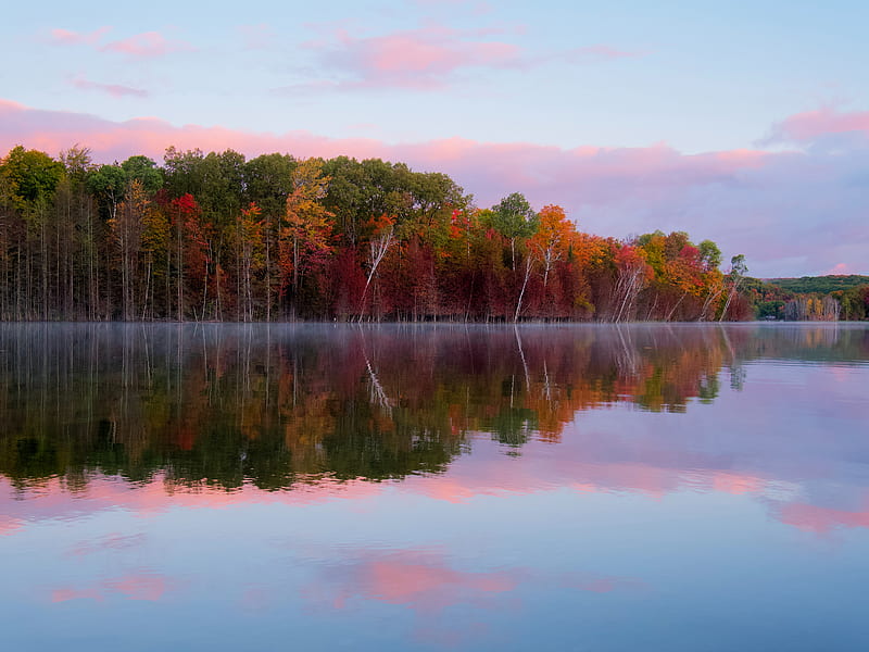 trees, autumn, lake, reflection, HD wallpaper