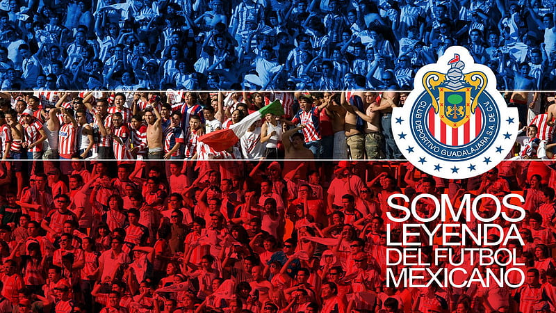Chivas 01, mexico, white, blue, red, shield, football, chivas, HD wallpaper
