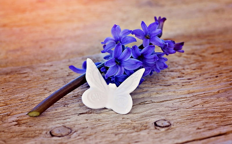 Happy spring!, hyacinth, spring, card, butterfly, purple, flower, paper, white, wood, HD wallpaper
