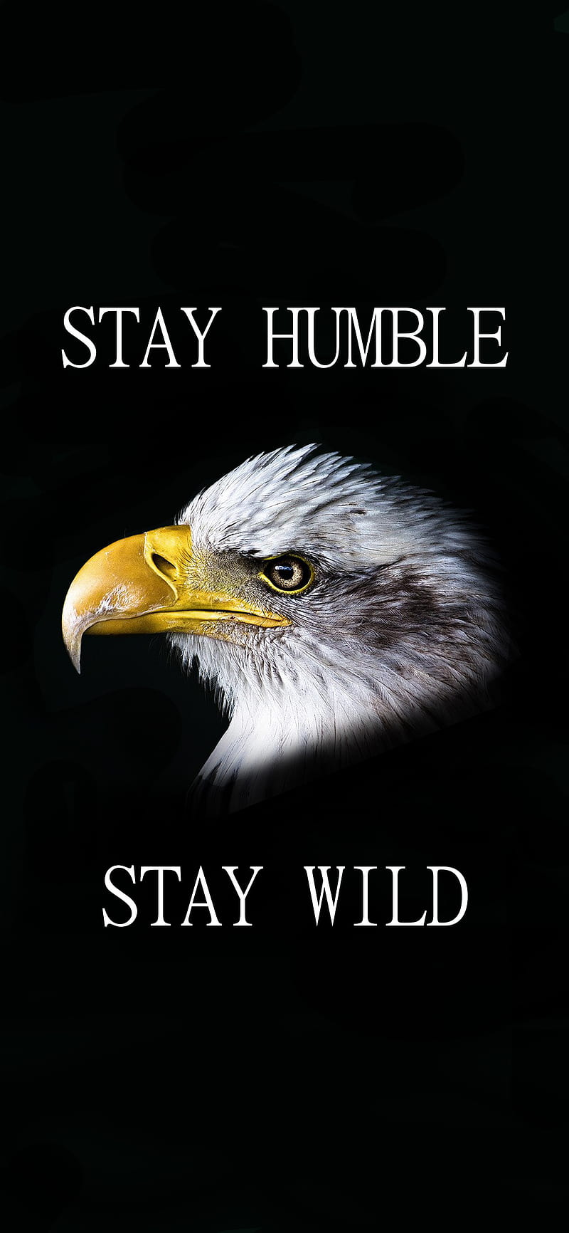 STAY MOTIVATED 2, android, eagle, humble, iphone, motivation, quote, wild, HD phone wallpaper