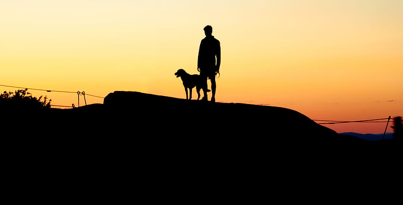 silhouettes, man, dog, sunset, hill, HD wallpaper