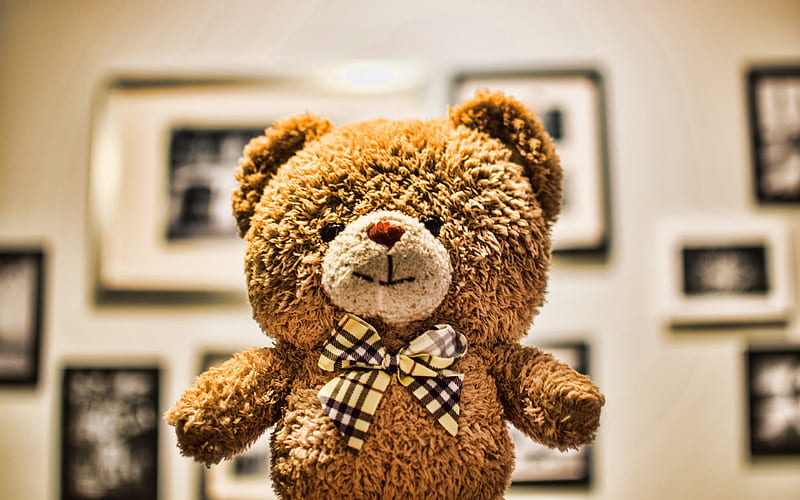 teddy bear close-up, toys, bear with bow, cute bear, HD wallpaper
