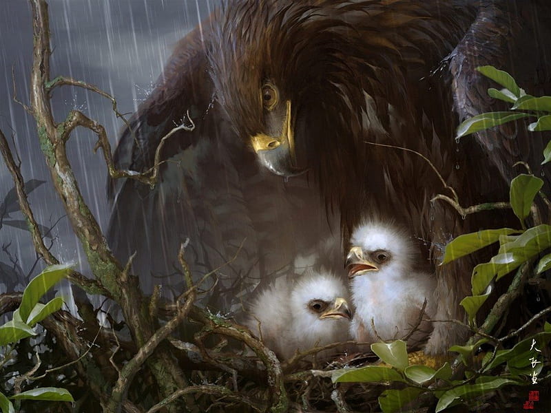 Safe beneath my wings, wings, eagle, bonito, mother, eaglects, two, rain, protect, spreading, HD wallpaper