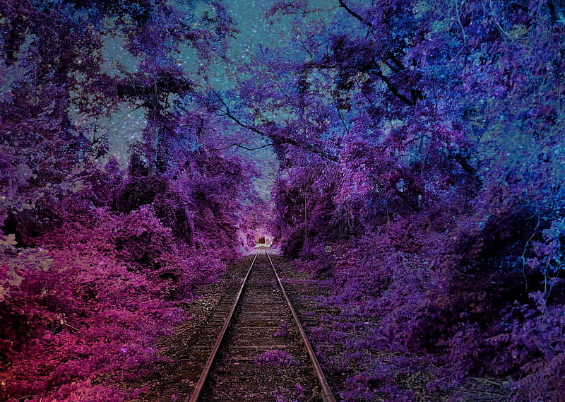 Cosmic forest , blue, cosmic, forest, nature, purple, railroad, stars, HD wallpaper