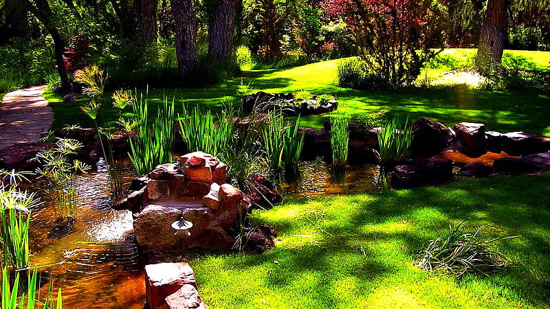 Garden With Green Grass Trees And Water Garden, HD wallpaper