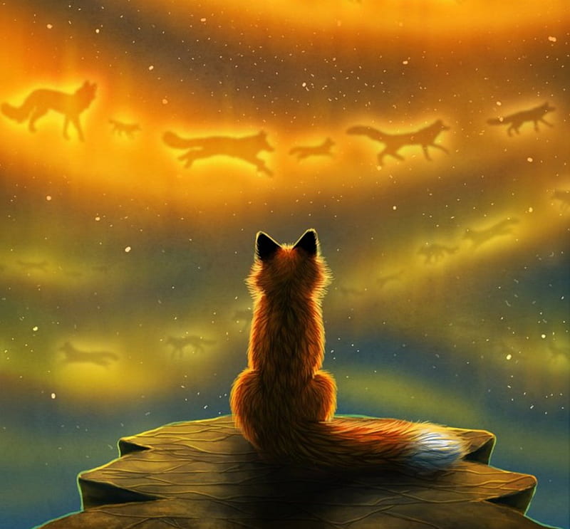 Witch House Wallpaper 4K, Fox, Wild animals, Starry sky