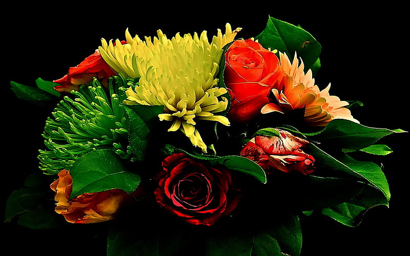 Thank You, caring, lovely, romantic, flowers, beauty, loving, HD ...