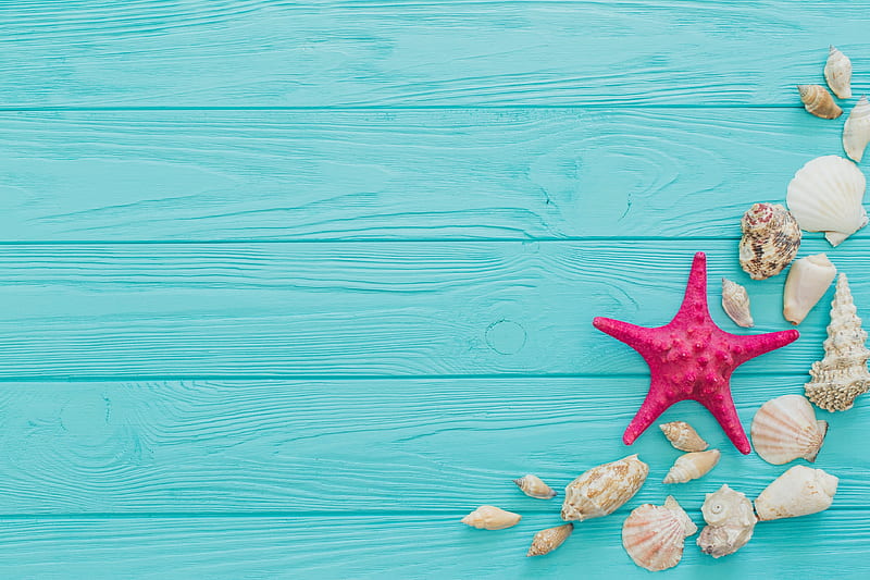 Happy Summer!, shell, summer, pink, wood, starfish, blue, card, HD wallpaper