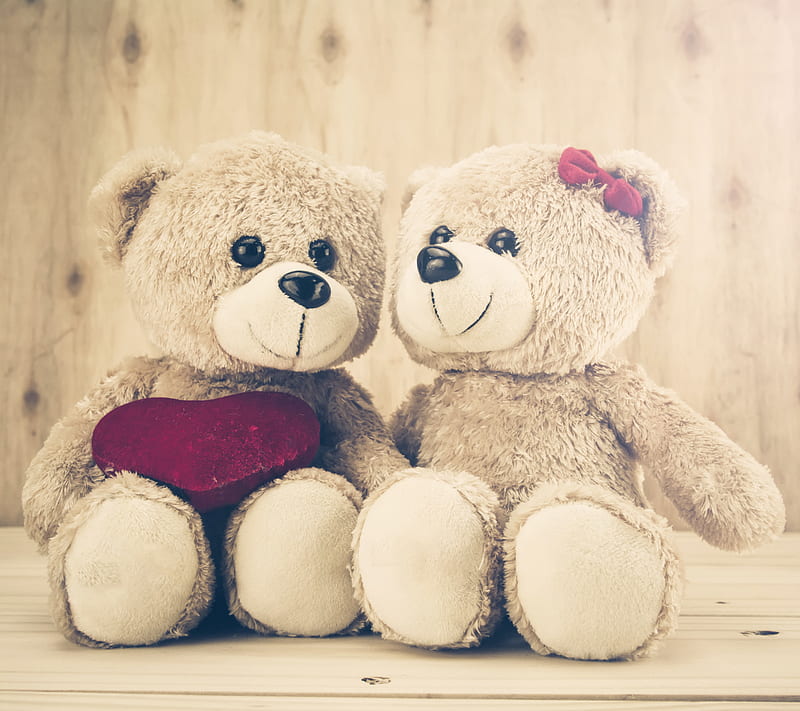 Teddy, bear, love, stuffed animal, HD wallpaper