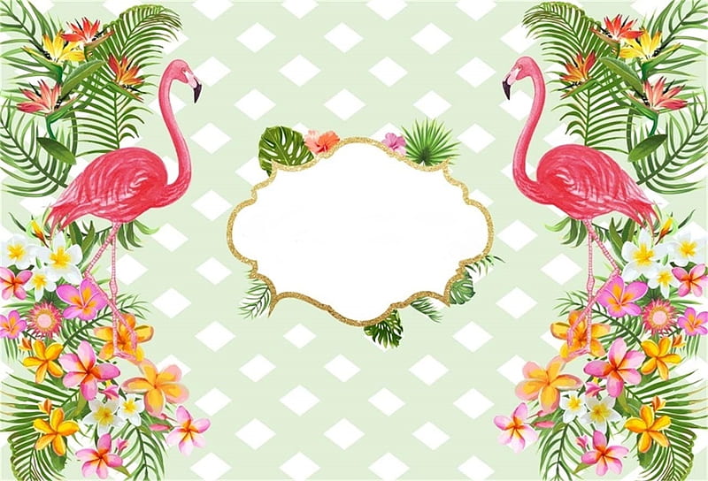 Flamingo Wallpaper Border - Infoupdate.org