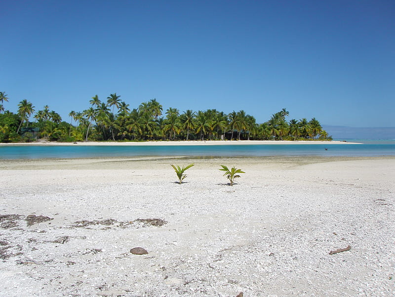 Deserted white sand beach and blue lagoon sea at One Foot Island Aitutaki Polynesia, polynesia, reef, french, palm, bonito, sea, atoll, palm trees, beach, aitutaki, lagoon, sand, foot, blue, exotic, islands, ocean, pacific, one, coral, escape, trees, south, deserted, paradise, cook, island, white, tropical, HD wallpaper