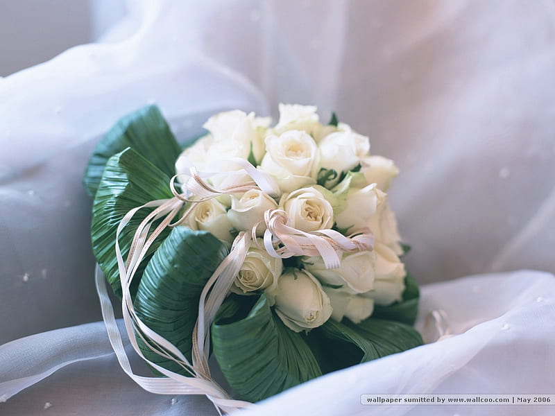 white, shawl, pink decoration, bouquet, white roses, chear, bonito, greens, HD wallpaper