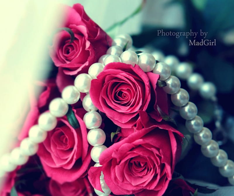 Pearls of roses, hot pink, necklace, bouquet, beauty, pearls, roses, HD wallpaper