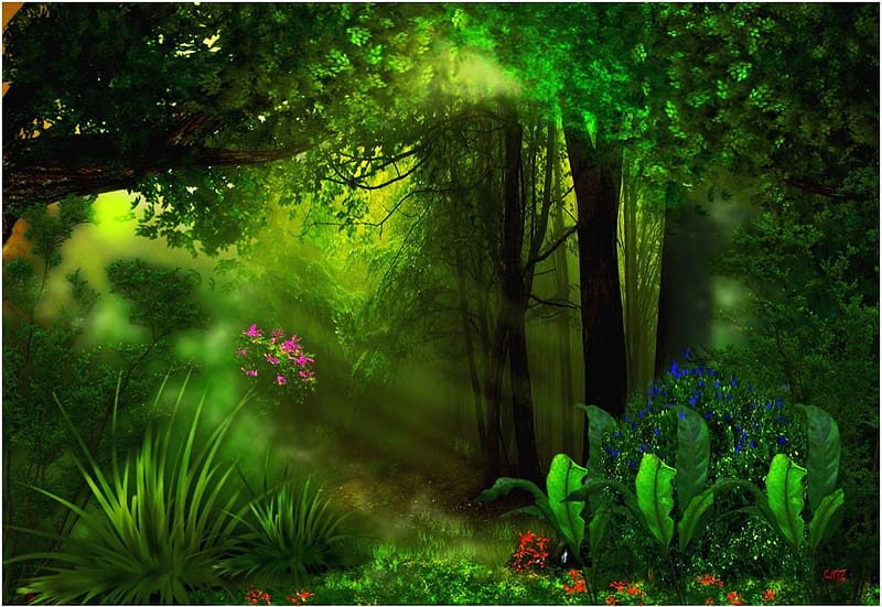 Verde natura, pasion, color, forest, vista, HD wallpaper | Peakpx