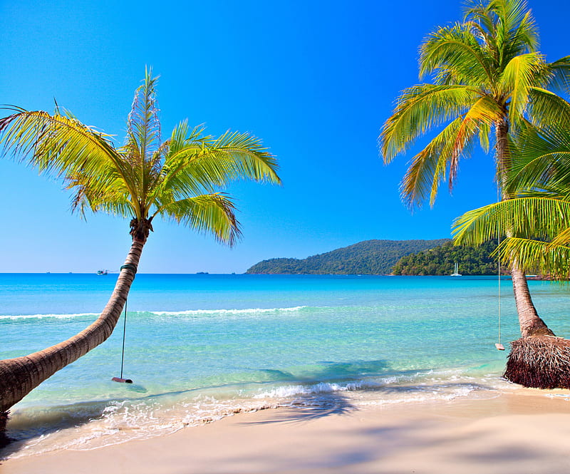 Tropical Beach, vacation, sun, ocean, emerald, palms, sea, beach, sand ...