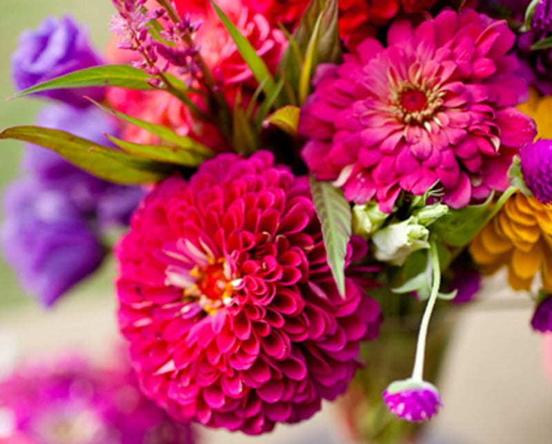 Beautiful Bouquet, flowers, nature, bouquet, daisy, HD wallpaper | Peakpx