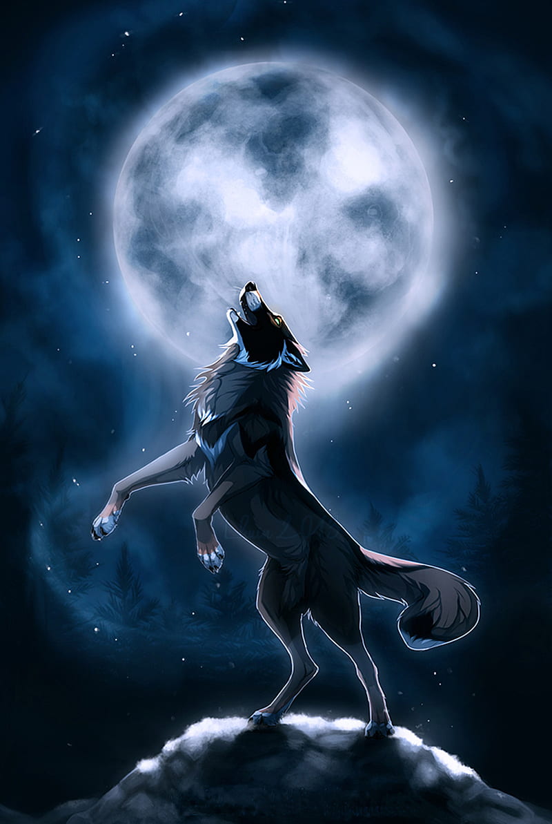 Wolf, howl, moon, night, stars, HD phone wallpaper