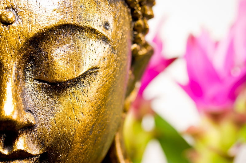 Peace for the Mind, meditating, serene, flowers, buddha, pink, HD wallpaper