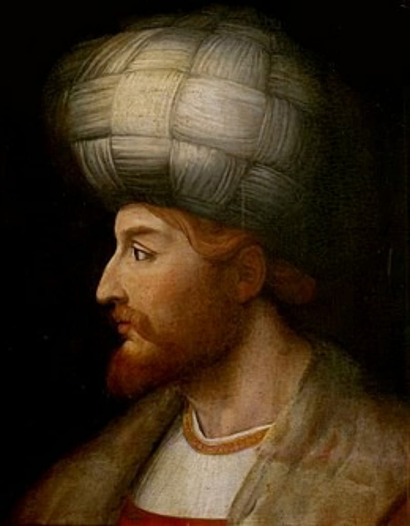 Shah Ismail Khatai, azerbaijan, azerbaijanshah, safavid, turk, HD phone wallpaper