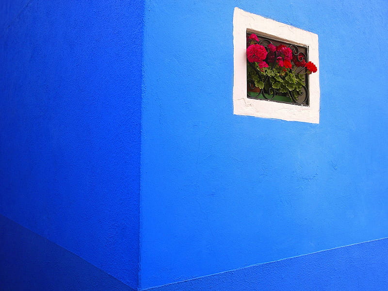 Untitled , burano, flower box, italy, HD wallpaper