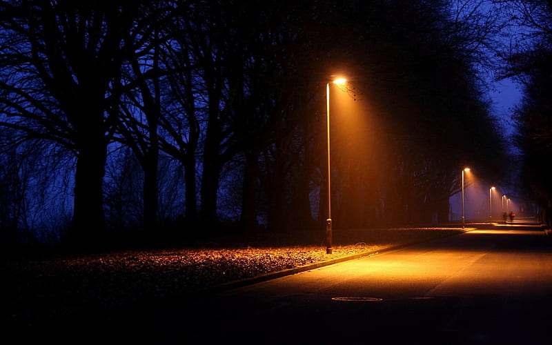 lamp posts at night along a park road, road, trees, lamp posts, night, light, HD wallpaper
