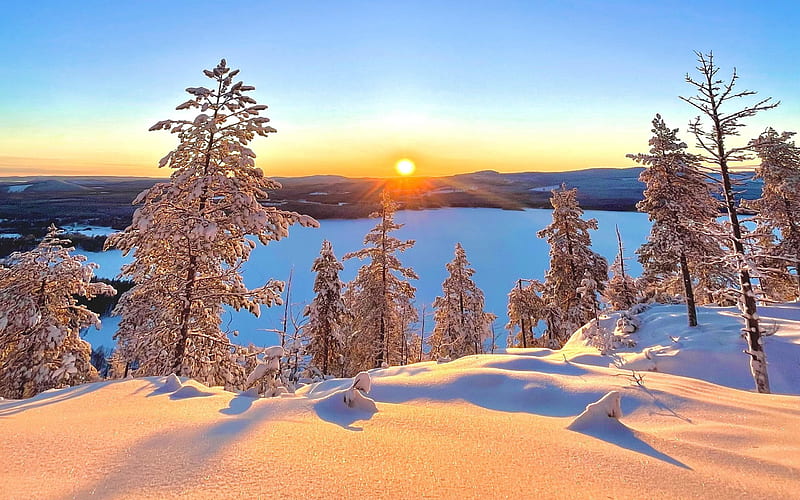 A clear morning in the swedish lapland, trees, snow, winter, sun, sky, scandinavia, HD wallpaper