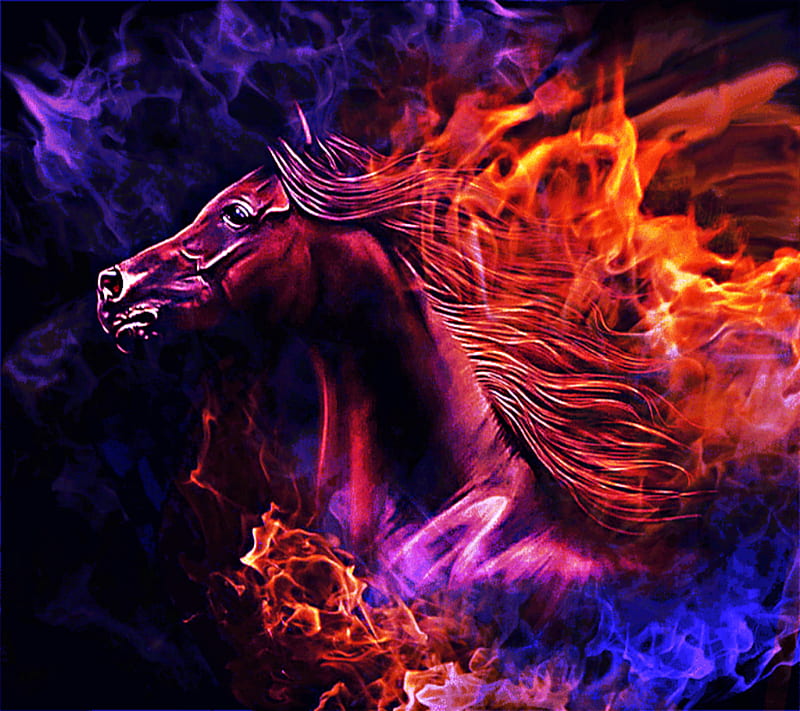 Fire Horse, HD wallpaper Peakpx