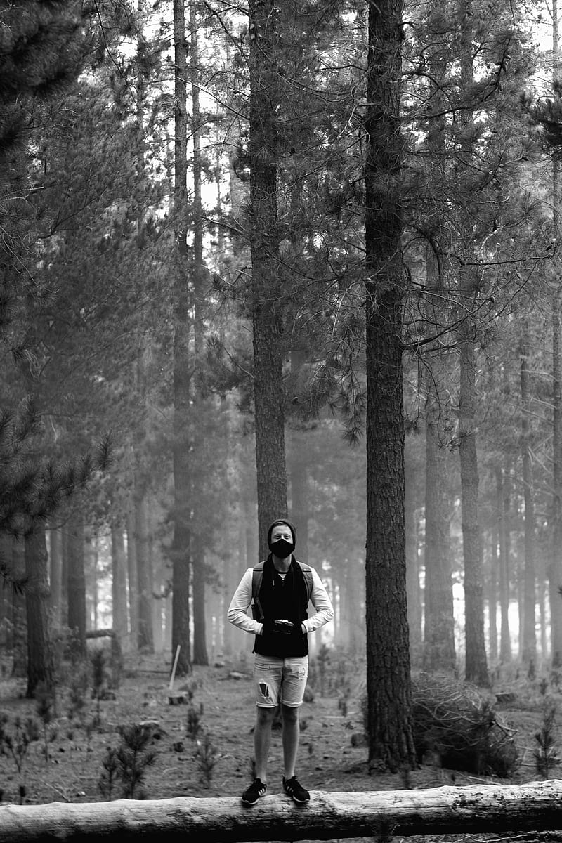 grayscale of man in black jacket standing in the middle of forest, HD phone wallpaper