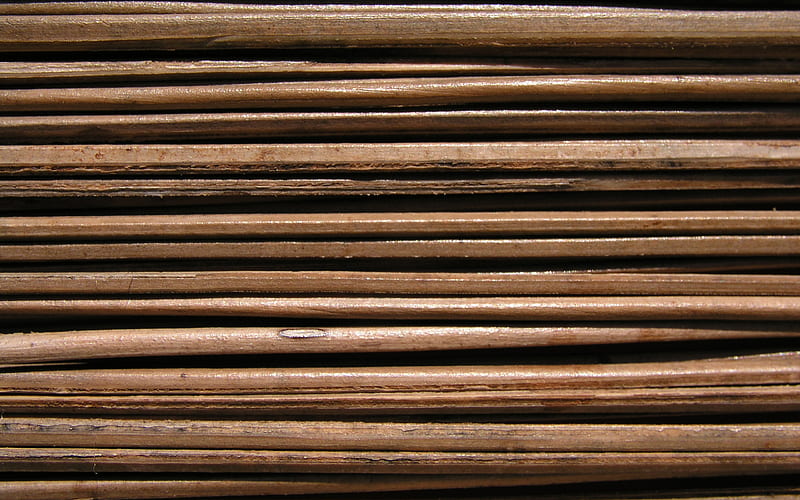 bambusoideae sticks, macro, horizontal bamboo texture, bamboo textures, bamboo canes, bamboo sticks, brown wooden background, bamboo, HD wallpaper