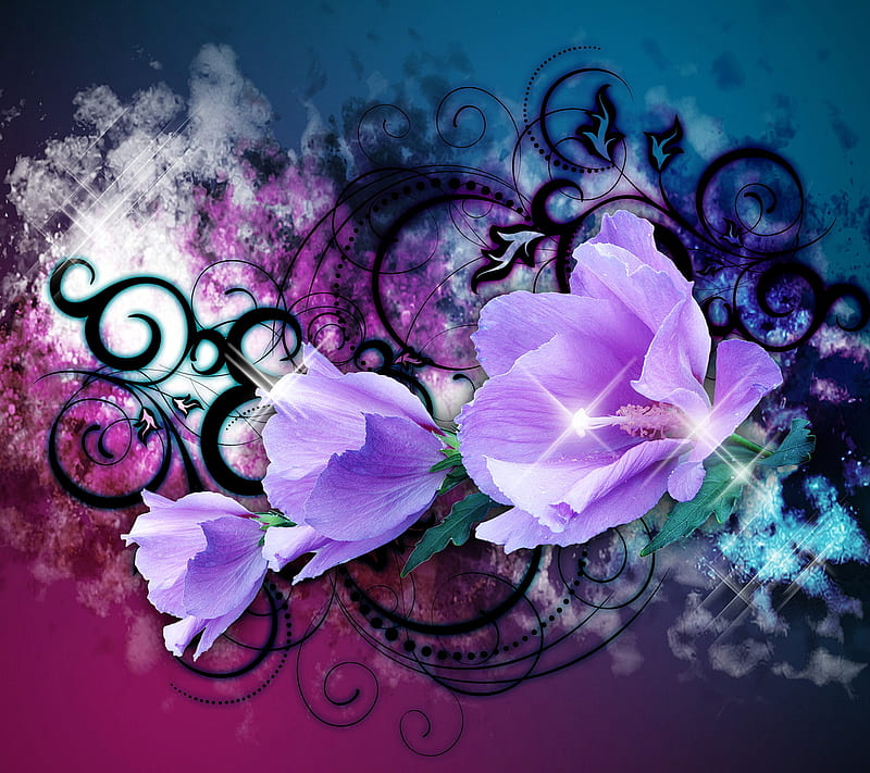 Purple Blossoms Flower Hd Wallpaper Peakpx 