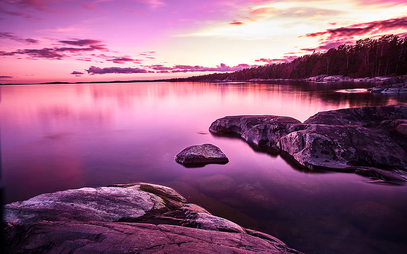 Summer Purple Sunset Scenery Lake Coast, HD wallpaper