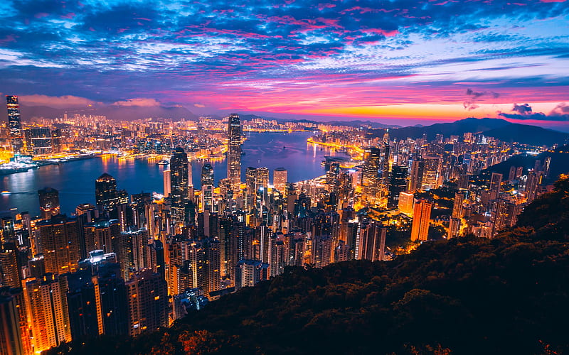 Hong Kong City View Buildings Light Night, hong-kong, world, lights, city, buildings, HD wallpaper