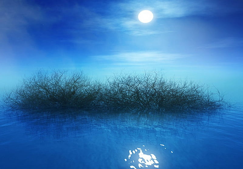 Moon, lake, blue, night, HD wallpaper