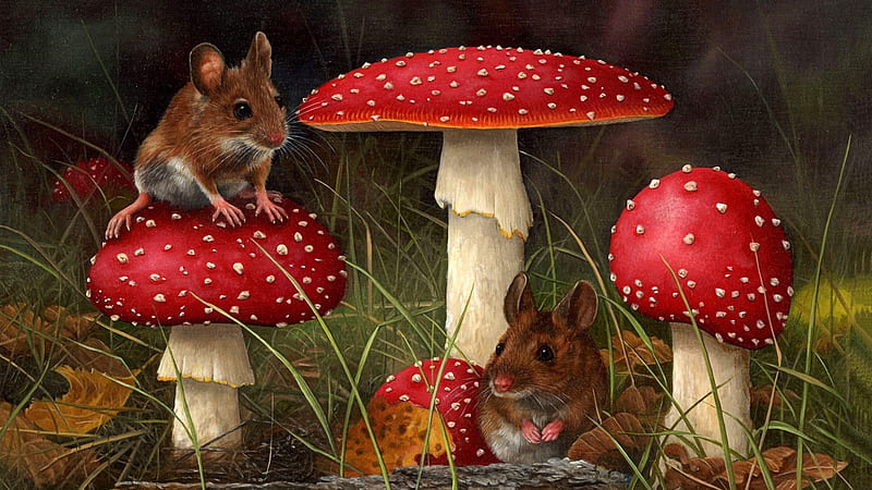 Two Mouses, mushroom, red, paint, mouse, two, HD wallpaper