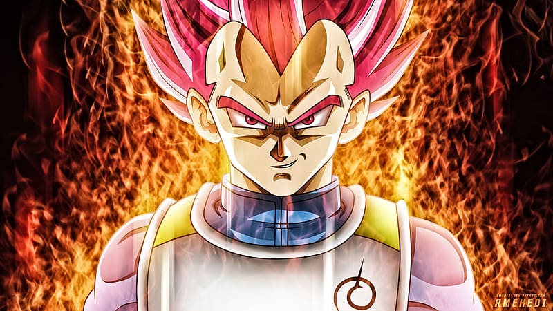 Vegeta  Anime dragon ball super, Anime dragon ball, Vegeta