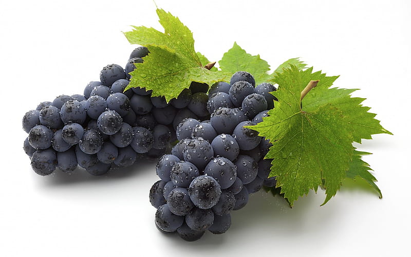 Grapes, autumn, struguri, food, sweet, dessert, leaf, fruit, green, white, blue, HD wallpaper