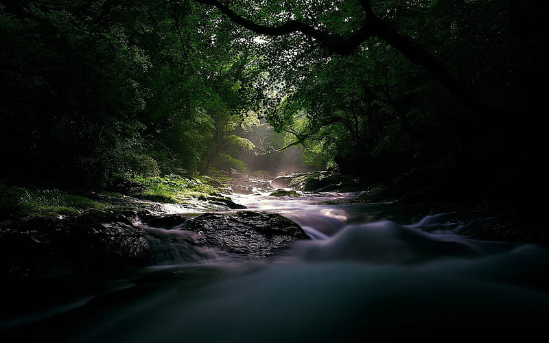 river stream current light uncertainty wood-landscape, HD wallpaper