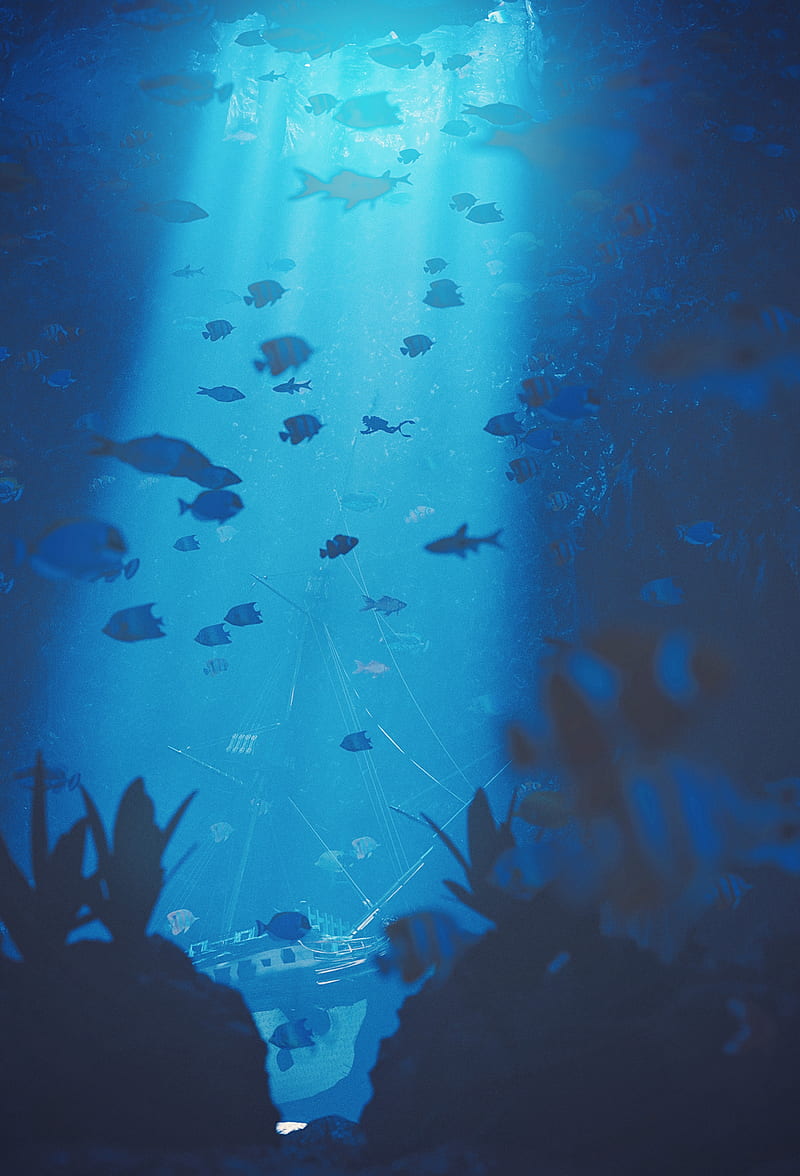 diving, under water, ray of light, depth, fish, bottom, HD phone wallpaper