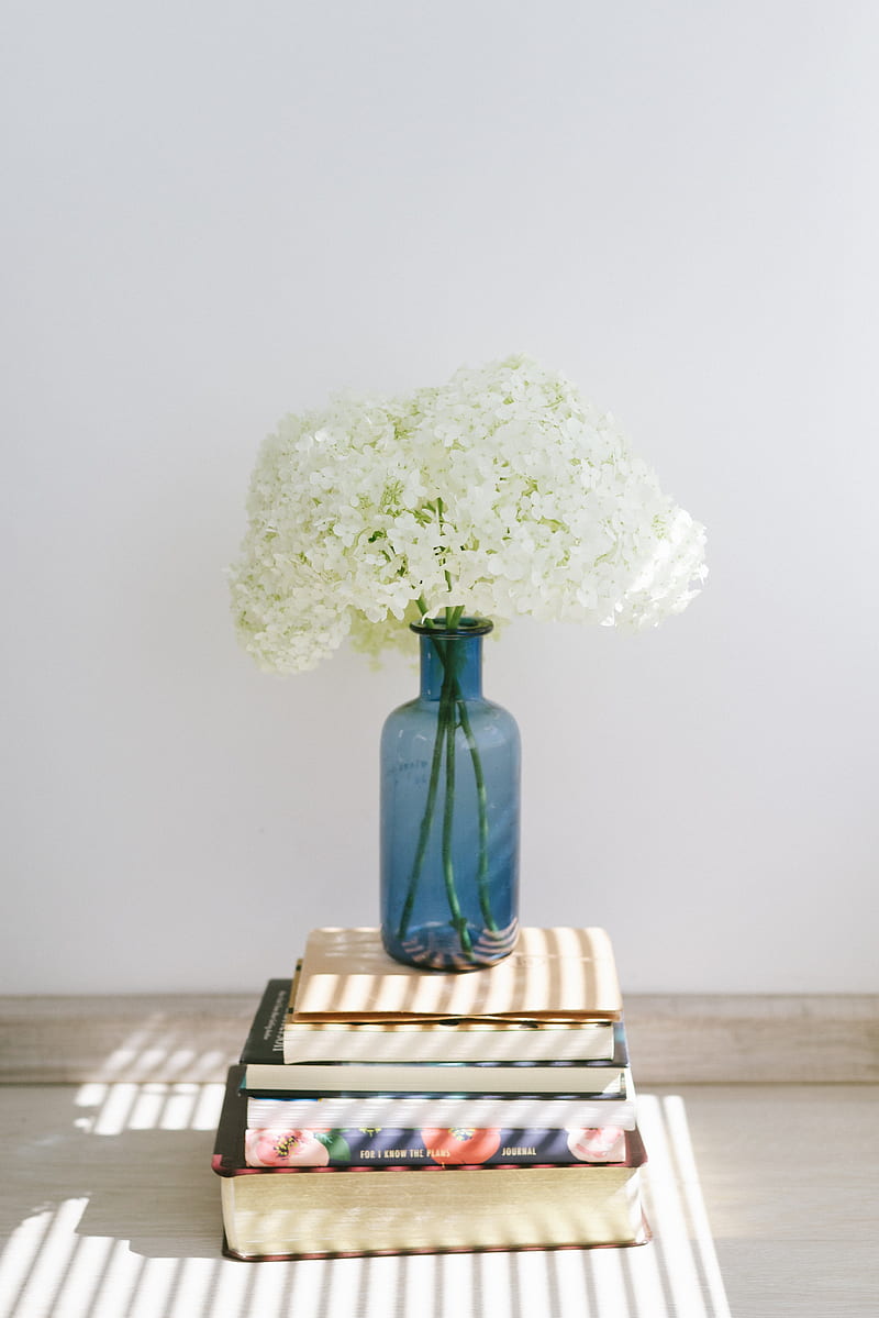 hydrangea, flowers, vase, books, HD phone wallpaper