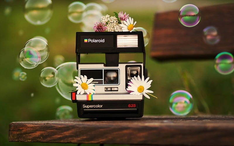 Smileee... ツ, daisies, object, balloons, flowers, bench, camera, polaroid, HD wallpaper