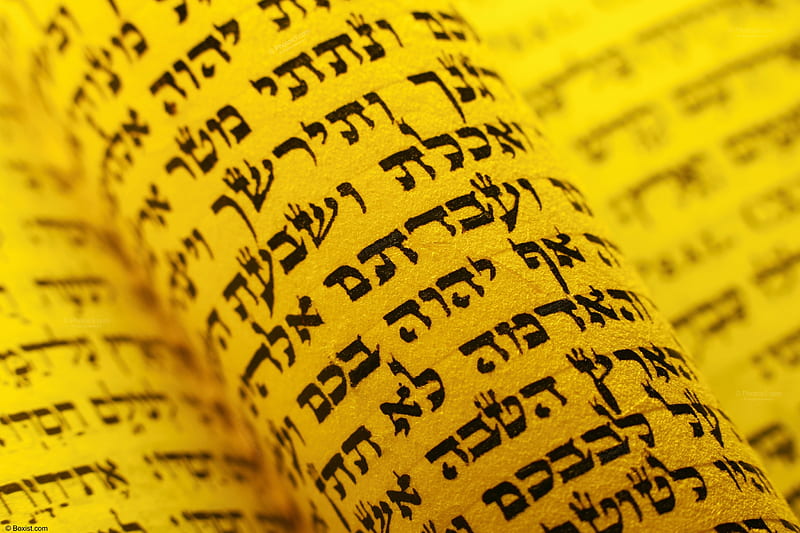 Religious Hebrew Torah Page, torah, bible, jewish, hebrew, religion, page, HD wallpaper