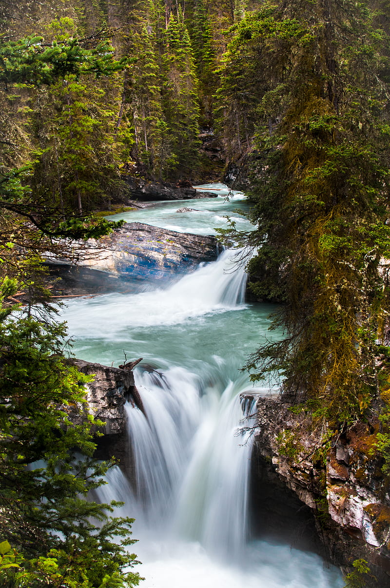 Waterfalls surrounded green trees field, HD phone wallpaper | Peakpx