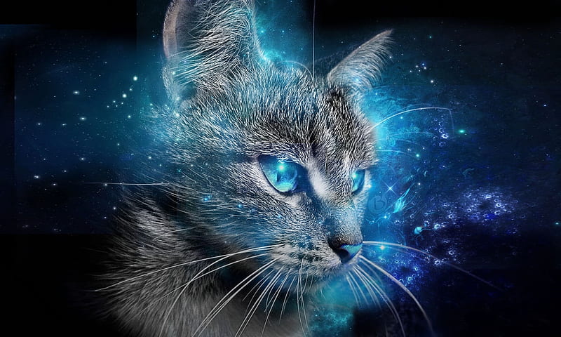 Abstract Cat, blue, cool, face, cats, abstract, staring, animals, HD wallpaper