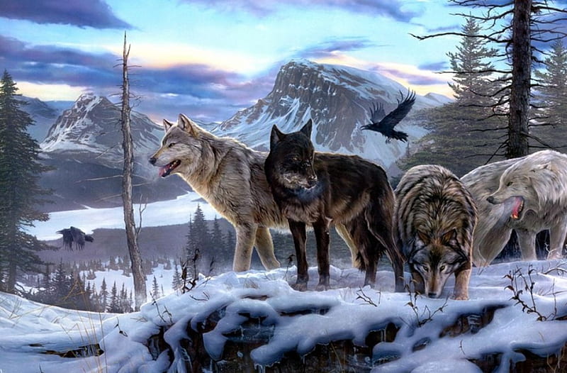 Broken Silence, snow, wolfpack, painting, nature, wolf, wolves, artwork, winter, HD wallpaper
