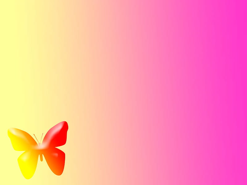 butterfly, yellow, red, pink, HD wallpaper
