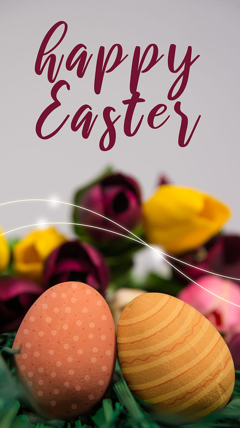 Happy Easter Photos Download The BEST Free Happy Easter Stock Photos  HD  Images