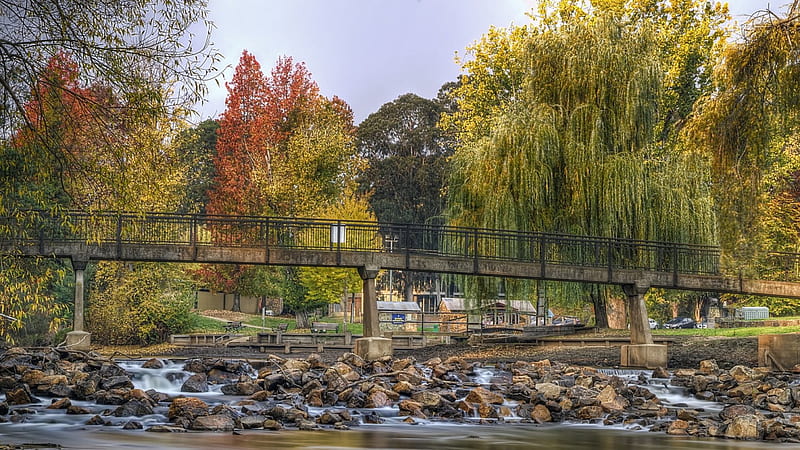pedestrian bridge over rapid river, rocks, autumn, pedestrian, rapids, bridge, river, trees, HD wallpaper